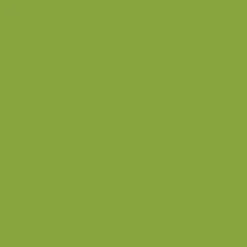 Artistic Nail Design "Got That Funk" - Lime Green Crème Perfect Dip Powder 23 g | 0.8 Oz