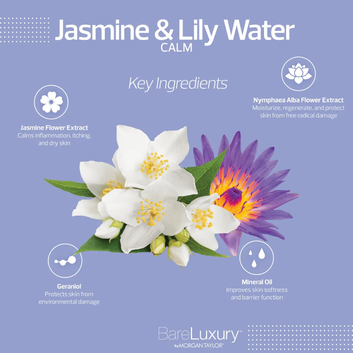 BareLuxury Detox Calm Jasmine & Lily Water 4 Pack - Includes 1 Each Of Soak, Masque, Scrub, Massage Butter