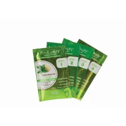 BareLuxury Detox Ginger & Green Tea 4 Pack - Includes 1 Each Of Soak, Masque, Scrub, Massage Butter