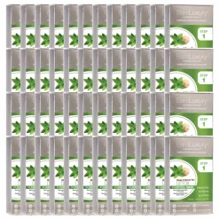 BareLuxury Detox Ginger & Green Tea 4 Pack - Case Pack of 48