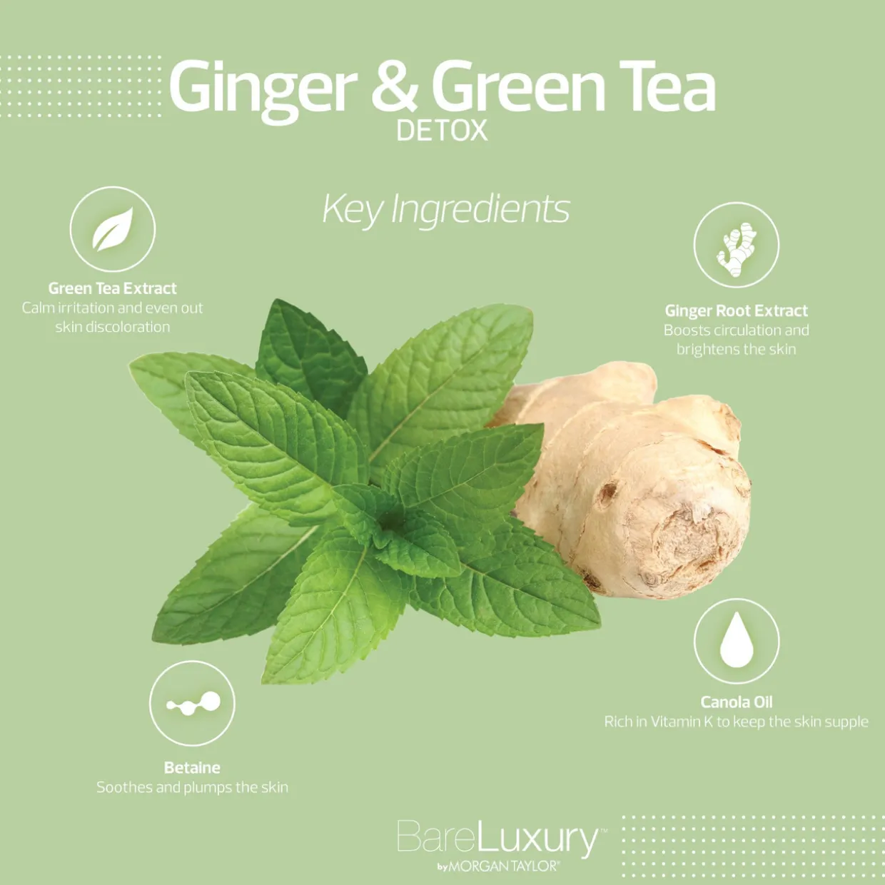 BareLuxury Detox Ginger & Green Tea 4 Pack - Case Pack of 48