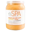 BCL SPA 64 oz. Dead Sea Salt Soak Mandarin + Mango