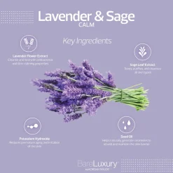 Calm Lavender & Sage Lotion (8 fl. oz. | 240 ml.) - BareLuxury Pump Lotion