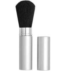 DL Pro Retractable Nail Duster