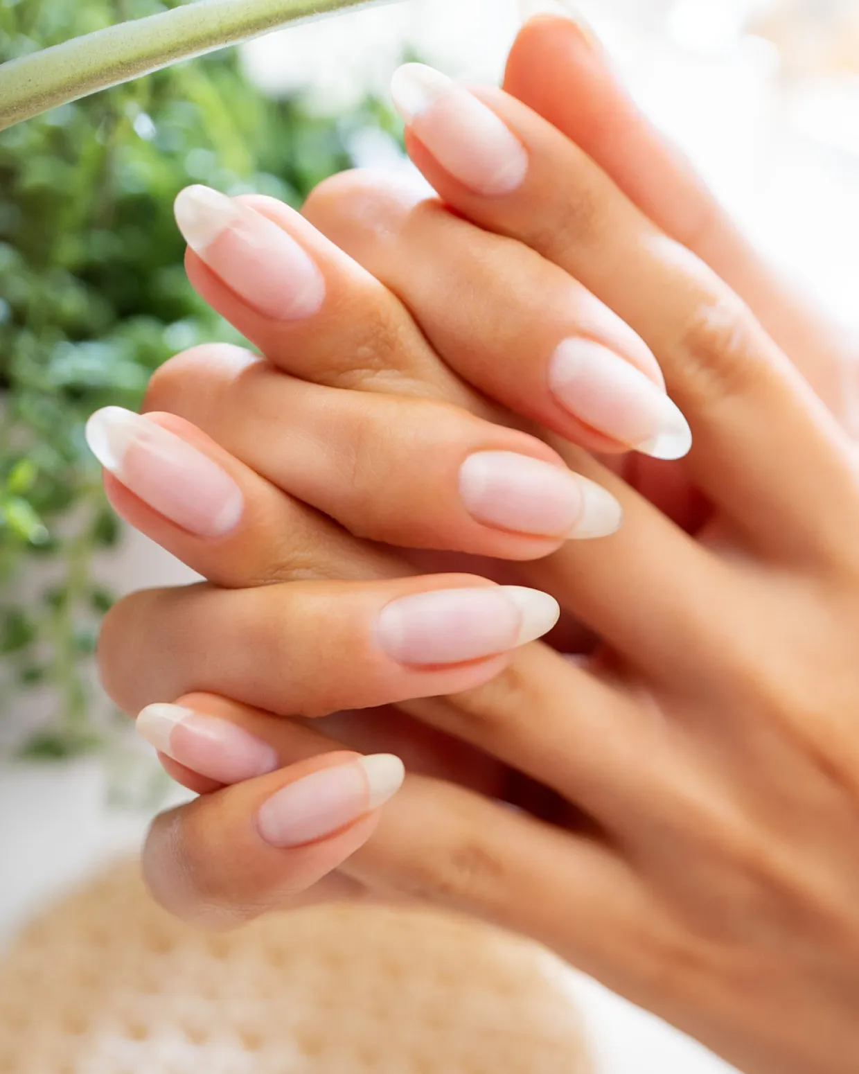 Gelish Nourish Cuticle Oil with Hyaluronic Acid, 15 mL | .5 fl. Oz.
