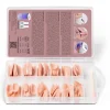 Gelish Soft Gel Tips, Pink Nude Medium Coffin, 120 ct.