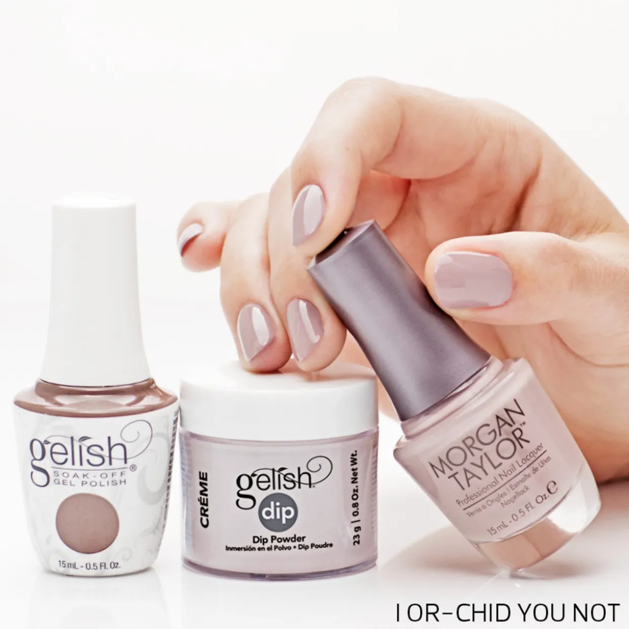Morgan Taylor "I Or-Chid You Not" Nail Lacquer, .5 Oz